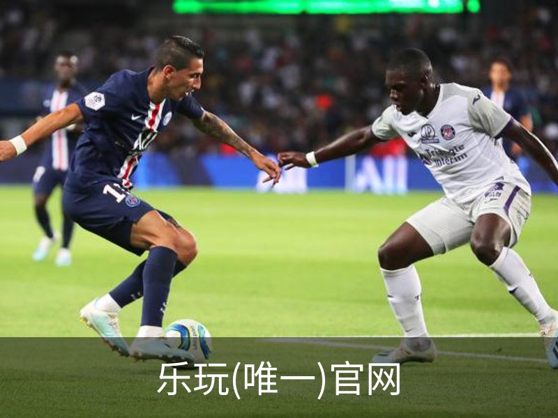 乐玩(唯一)官网简介